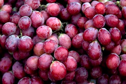F C Fruits